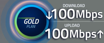 Fiber Gold Plan