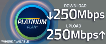 Fiber Platinum Plan